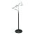 2-Arm Combination Floor Lamp and 2x Magnifier